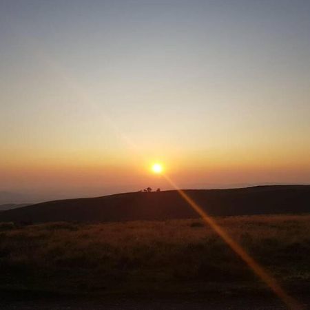 Rowan Cottages With Panoramic Views Of The Stiperstones And Walks On The Doorstep 슈루즈버리 외부 사진