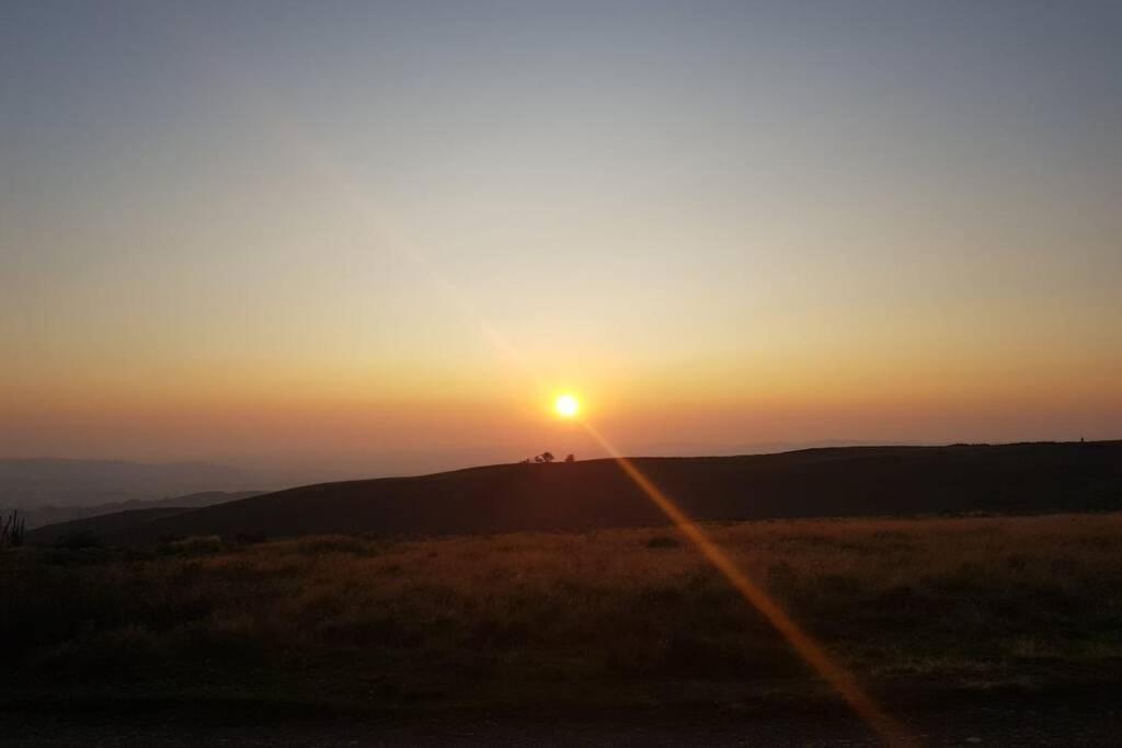 Rowan Cottages With Panoramic Views Of The Stiperstones And Walks On The Doorstep 슈루즈버리 외부 사진