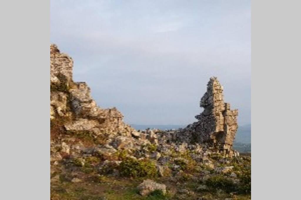Rowan Cottages With Panoramic Views Of The Stiperstones And Walks On The Doorstep 슈루즈버리 외부 사진